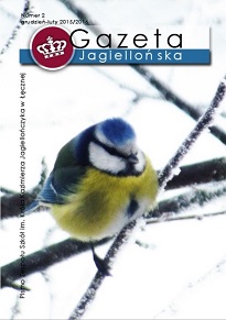 Publikacja2
